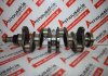 Kurbelwelle 98449226, 98451529, 4785110 zum FIAT, IVECO