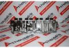 Cylinder Head 7663436 for FIAT