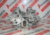 Zylinderkopf 12668719, 12696261, 12696263 zum OPEL, CHEVROLET, GM