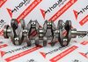 Crankshaft YD25, 12200-AD200, 12200-AD21A for NISSAN