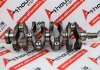 Crankshaft YD25, 12200-AD200, 12200-AD21A for NISSAN