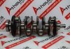 Crankshaft 67105, 55576032, 55565818, 55567103, 55207150, 55585161, 95514208 for OPEL, ALFA ROMEO, FIAT