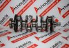 Crankshaft 3946, 55576032, 55565818, 55567103, 55207150, 55585161, 95514208 for OPEL, FIAT, ALFA ROMEO