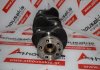 Albero motore 4107, 4108, ZZ90124, ZZ90160 per PERKINS, MASSEY FERGUSON