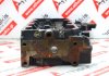 Cylinder Head 5215950, 904J-E36TA, 904D-E36TA for PERKINS