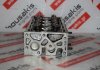 Cylinder Head 55204940 for FIAT