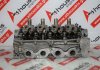 Cylinder Head 8200042722, 7701475751, 7701472983 for RENAULT