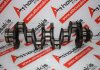 Crankshaft 502295018, 504018150, 5801486982, 504017281 for FIAT, IVECO, PEUGEOT, CITROEN