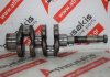 Albero motore 72TK, 2TN72, 2TN75 per YANMAR